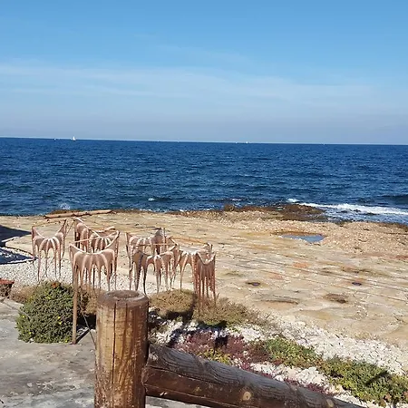 Puerta Palmar 2